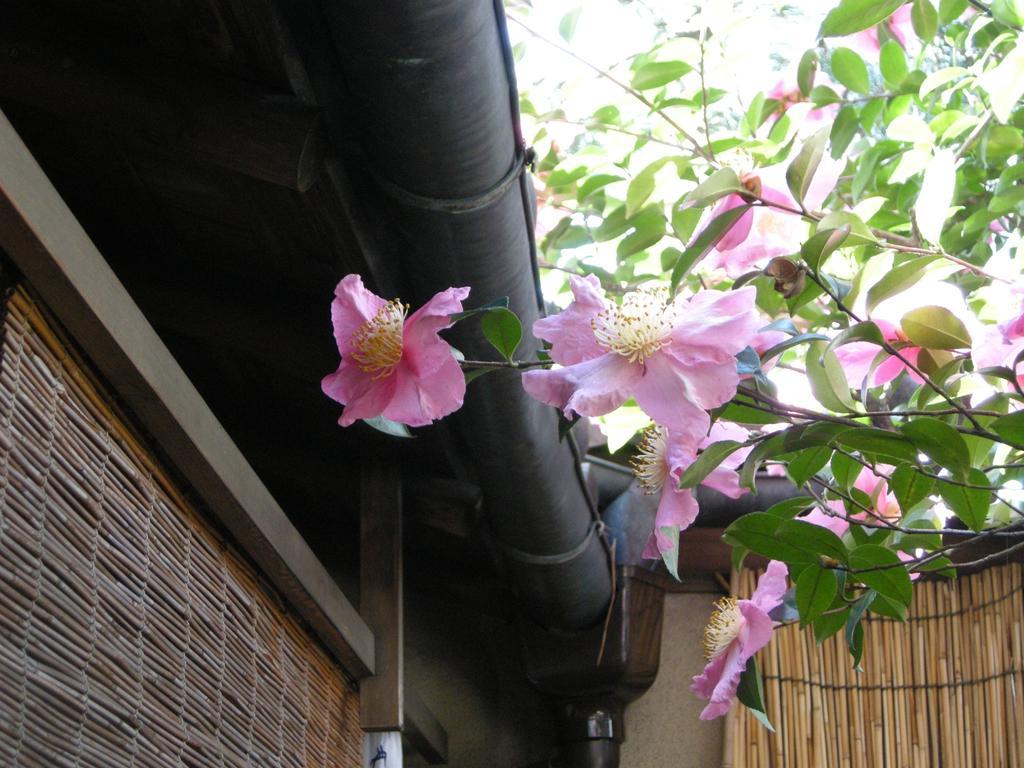 Guesthouse Itoya Kyoto Exterior photo
